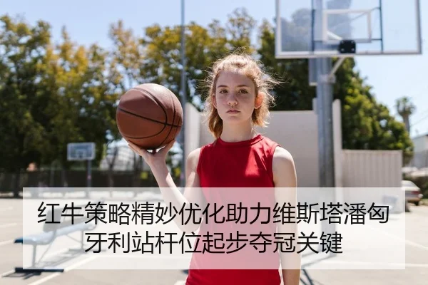 红牛策略精妙优化助力维斯塔潘匈牙利站杆位起步夺冠关键
